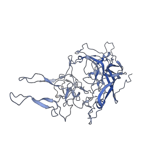 23993_7mtp_f_v1-2
Structure of the adeno-associated virus 9 capsid at pH 5.5