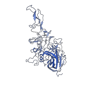 23993_7mtp_h_v1-2
Structure of the adeno-associated virus 9 capsid at pH 5.5