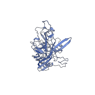 23993_7mtp_i_v1-2
Structure of the adeno-associated virus 9 capsid at pH 5.5