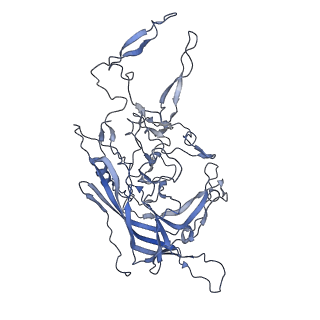 23993_7mtp_j_v1-2
Structure of the adeno-associated virus 9 capsid at pH 5.5