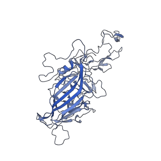 23993_7mtp_l_v1-2
Structure of the adeno-associated virus 9 capsid at pH 5.5