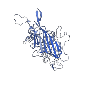 23993_7mtp_m_v1-2
Structure of the adeno-associated virus 9 capsid at pH 5.5