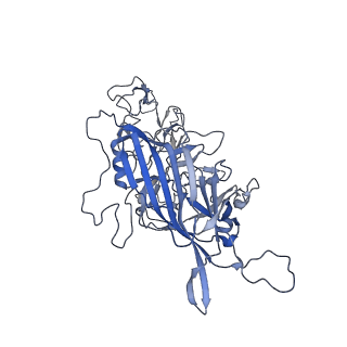 23993_7mtp_q_v1-2
Structure of the adeno-associated virus 9 capsid at pH 5.5