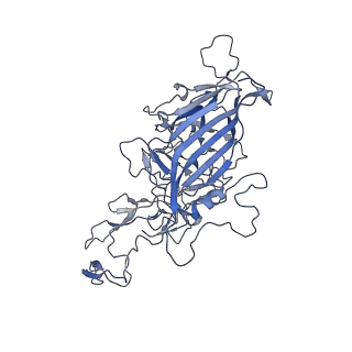 23993_7mtp_s_v1-2
Structure of the adeno-associated virus 9 capsid at pH 5.5