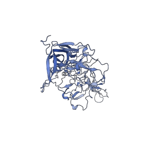 23993_7mtp_t_v1-2
Structure of the adeno-associated virus 9 capsid at pH 5.5