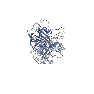 23993_7mtp_w_v1-2
Structure of the adeno-associated virus 9 capsid at pH 5.5
