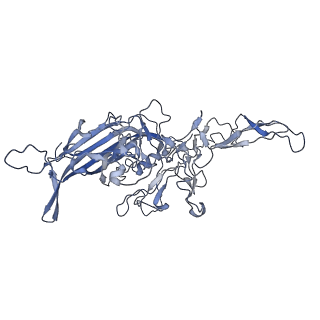 23993_7mtp_x_v1-2
Structure of the adeno-associated virus 9 capsid at pH 5.5