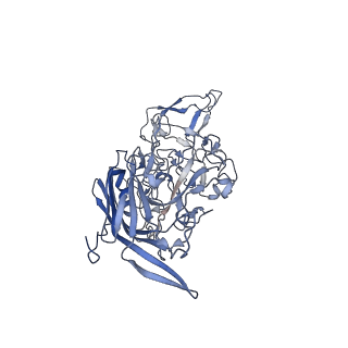 23993_7mtp_y_v1-2
Structure of the adeno-associated virus 9 capsid at pH 5.5