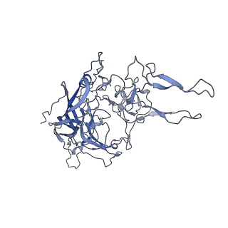 23993_7mtp_z_v1-2
Structure of the adeno-associated virus 9 capsid at pH 5.5
