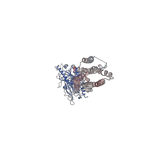23994_7mtq_A_v1-2
CryoEM Structure of Full-Length mGlu2 in Inactive-State Bound to Antagonist LY341495