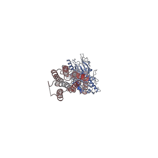 23994_7mtq_B_v1-2
CryoEM Structure of Full-Length mGlu2 in Inactive-State Bound to Antagonist LY341495