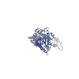 23995_7mtr_A_v1-1
CryoEM Structure of Full-Length mGlu2 Bound to Ago-PAM ADX55164 and Glutamate