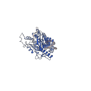 23995_7mtr_B_v1-1
CryoEM Structure of Full-Length mGlu2 Bound to Ago-PAM ADX55164 and Glutamate