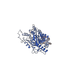 23995_7mtr_B_v2-1
CryoEM Structure of Full-Length mGlu2 Bound to Ago-PAM ADX55164 and Glutamate