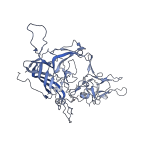 23999_7mtw_1_v1-2
Structure of the adeno-associated virus 9 capsid at pH 4.0