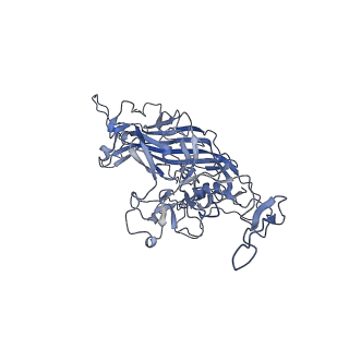 23999_7mtw_4_v1-2
Structure of the adeno-associated virus 9 capsid at pH 4.0