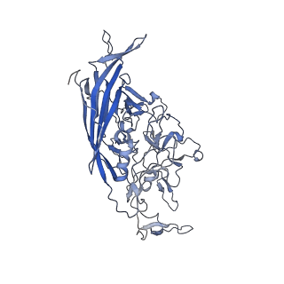23999_7mtw_7_v1-2
Structure of the adeno-associated virus 9 capsid at pH 4.0