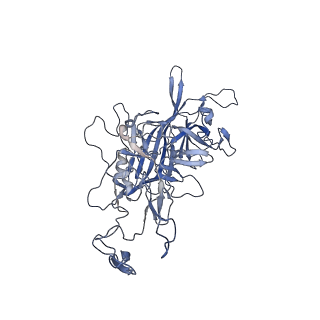 23999_7mtw_A_v1-2
Structure of the adeno-associated virus 9 capsid at pH 4.0