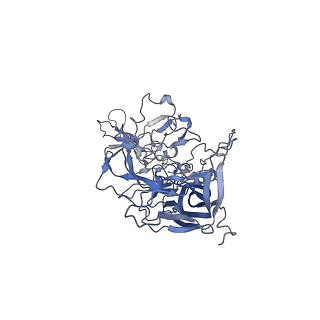 23999_7mtw_D_v1-2
Structure of the adeno-associated virus 9 capsid at pH 4.0
