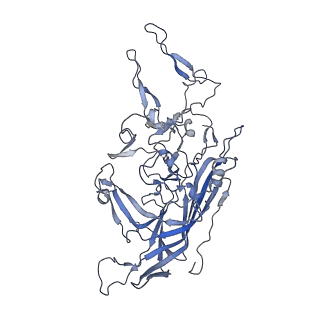 23999_7mtw_F_v1-2
Structure of the adeno-associated virus 9 capsid at pH 4.0