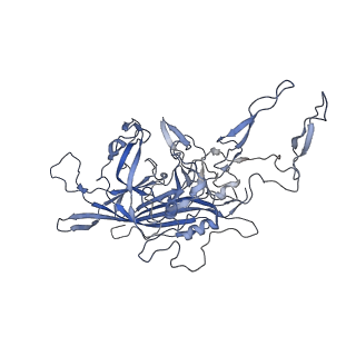 23999_7mtw_G_v1-2
Structure of the adeno-associated virus 9 capsid at pH 4.0