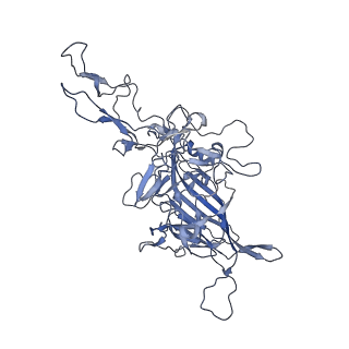 23999_7mtw_I_v1-2
Structure of the adeno-associated virus 9 capsid at pH 4.0