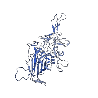 23999_7mtw_J_v1-2
Structure of the adeno-associated virus 9 capsid at pH 4.0