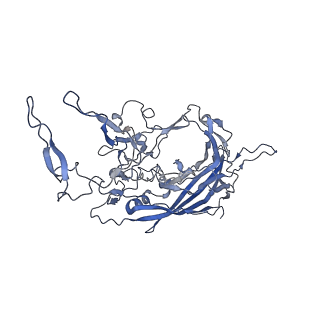 23999_7mtw_N_v1-2
Structure of the adeno-associated virus 9 capsid at pH 4.0