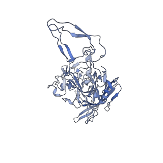 23999_7mtw_U_v1-2
Structure of the adeno-associated virus 9 capsid at pH 4.0