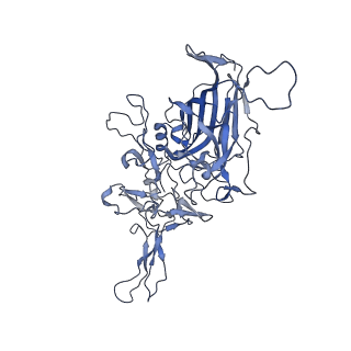 23999_7mtw_V_v1-2
Structure of the adeno-associated virus 9 capsid at pH 4.0