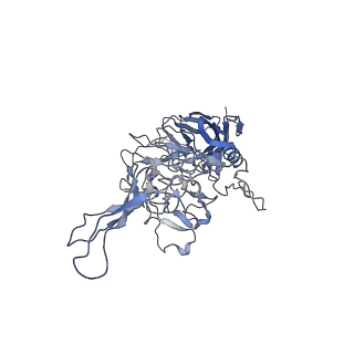23999_7mtw_a_v1-2
Structure of the adeno-associated virus 9 capsid at pH 4.0