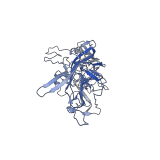 23999_7mtw_c_v1-2
Structure of the adeno-associated virus 9 capsid at pH 4.0