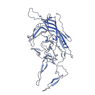 23999_7mtw_d_v1-2
Structure of the adeno-associated virus 9 capsid at pH 4.0
