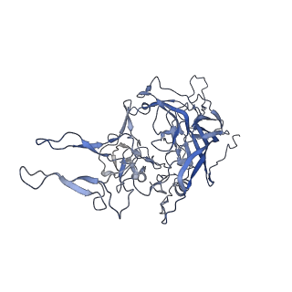 23999_7mtw_f_v1-2
Structure of the adeno-associated virus 9 capsid at pH 4.0