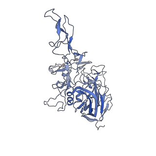 23999_7mtw_h_v1-2
Structure of the adeno-associated virus 9 capsid at pH 4.0