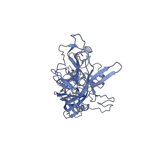 23999_7mtw_i_v1-2
Structure of the adeno-associated virus 9 capsid at pH 4.0