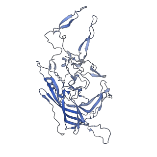 23999_7mtw_j_v1-2
Structure of the adeno-associated virus 9 capsid at pH 4.0