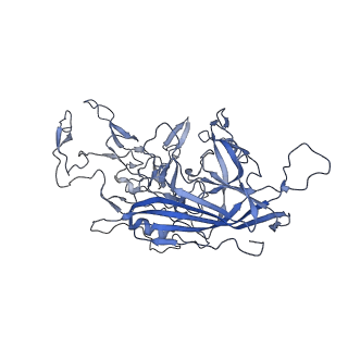 23999_7mtw_k_v1-2
Structure of the adeno-associated virus 9 capsid at pH 4.0