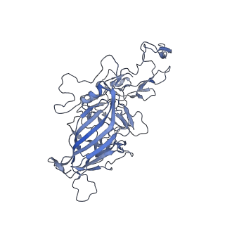23999_7mtw_l_v1-2
Structure of the adeno-associated virus 9 capsid at pH 4.0