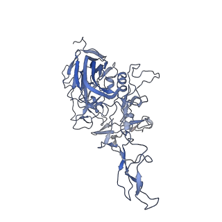 23999_7mtw_n_v1-2
Structure of the adeno-associated virus 9 capsid at pH 4.0
