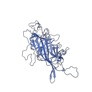 23999_7mtw_q_v1-2
Structure of the adeno-associated virus 9 capsid at pH 4.0