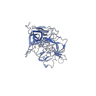 23999_7mtw_t_v1-2
Structure of the adeno-associated virus 9 capsid at pH 4.0
