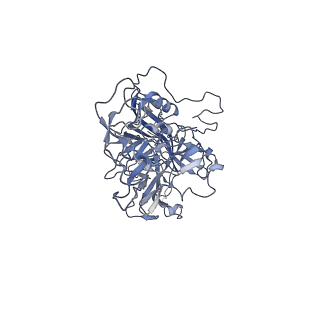 23999_7mtw_w_v1-2
Structure of the adeno-associated virus 9 capsid at pH 4.0