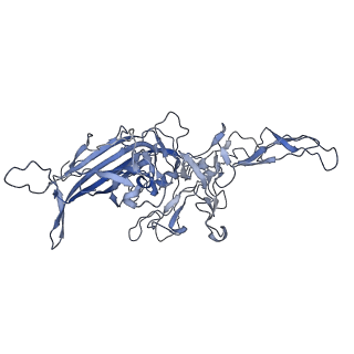 23999_7mtw_x_v1-2
Structure of the adeno-associated virus 9 capsid at pH 4.0