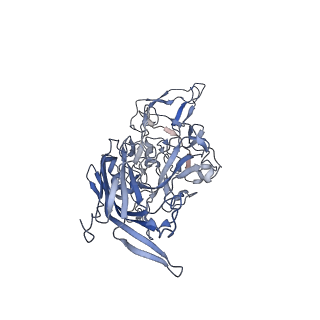 23999_7mtw_y_v1-2
Structure of the adeno-associated virus 9 capsid at pH 4.0