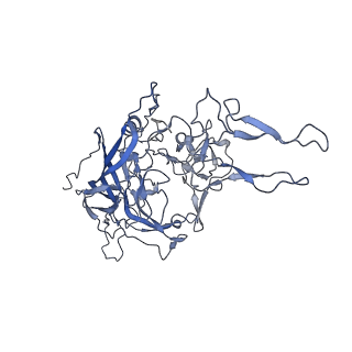 23999_7mtw_z_v1-2
Structure of the adeno-associated virus 9 capsid at pH 4.0