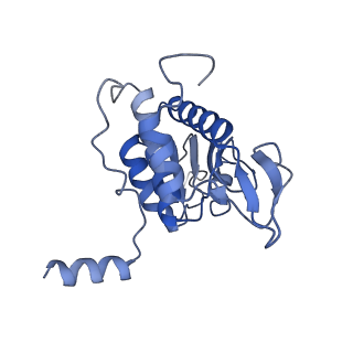 9237_6mtb_AA_v1-1
Rabbit 80S ribosome with P- and Z-site tRNAs (unrotated state)