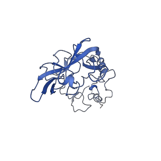 9237_6mtb_A_v1-1
Rabbit 80S ribosome with P- and Z-site tRNAs (unrotated state)
