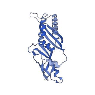9237_6mtb_BB_v1-1
Rabbit 80S ribosome with P- and Z-site tRNAs (unrotated state)