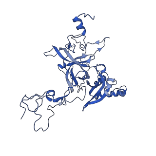 9237_6mtb_B_v1-1
Rabbit 80S ribosome with P- and Z-site tRNAs (unrotated state)